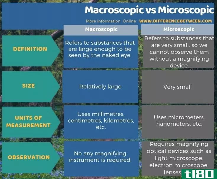 宏观的(macroscopic)和微观的(microscopic)的区别