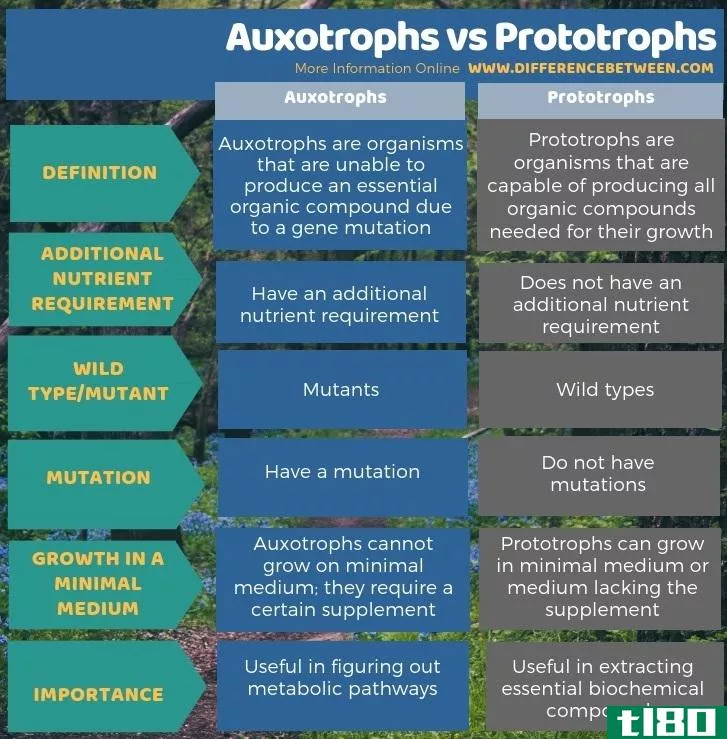 营养缺陷型(auxotrophs)和原养型(prototrophs)的区别