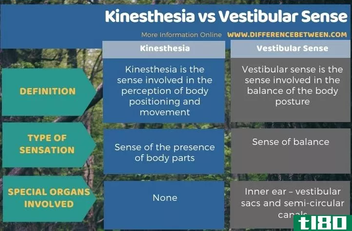 动觉(kinesthesia)和前庭感觉(vestibular sense)的区别