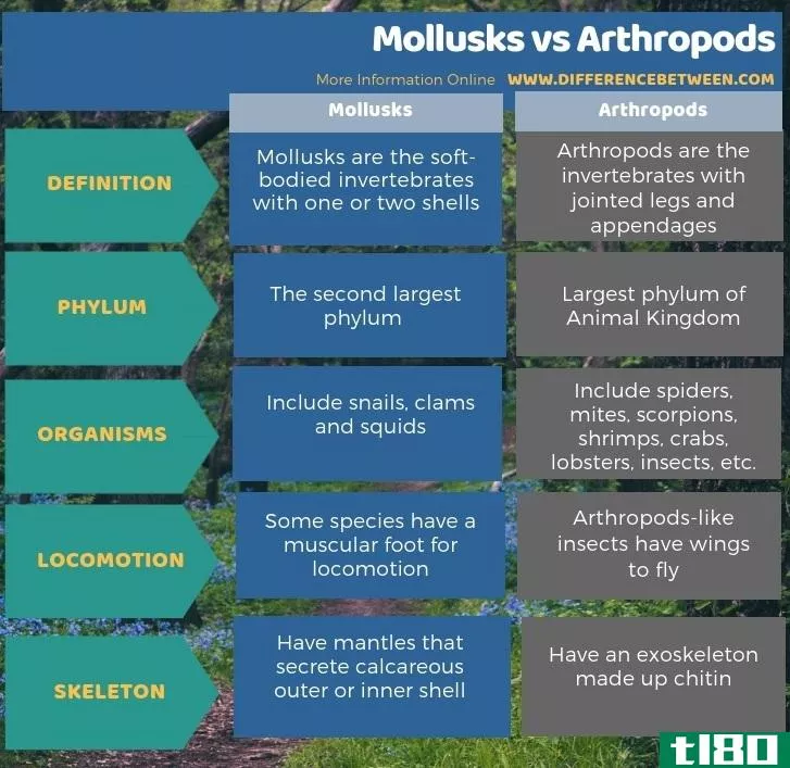 软体动物(mollusks)和节肢动物(arthropods)的区别