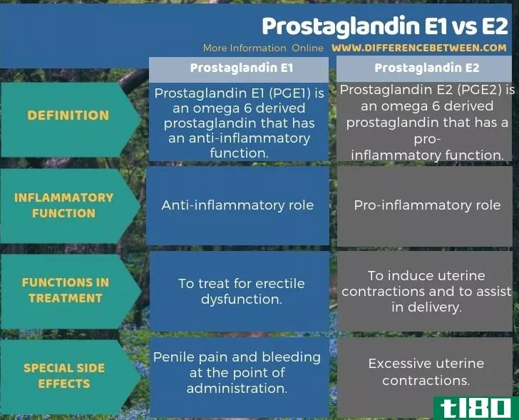 ****e1(prostaglandin e1)和e2号(e2)的区别