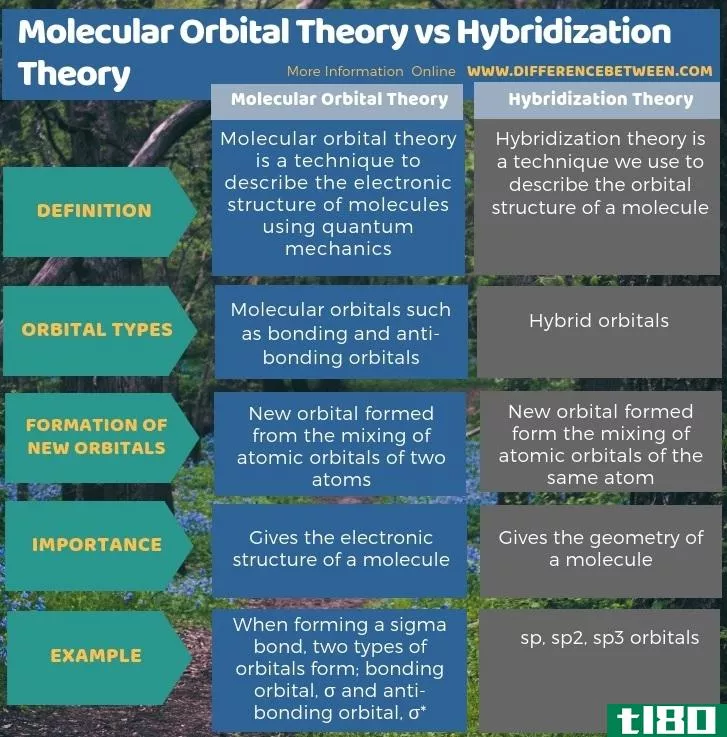 分子轨道理论(molecular orbital theory)和杂交理论(hybridization theory)的区别