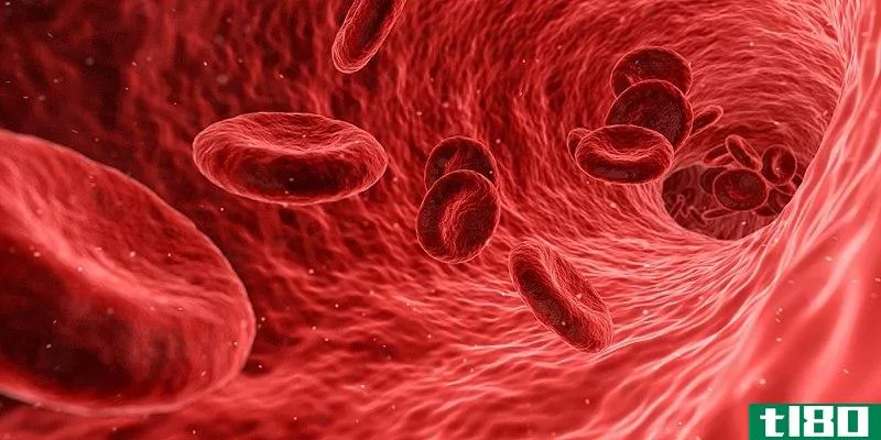 红细胞增多症(polycythemia)和红细胞增多症(erythrocytosis)的区别