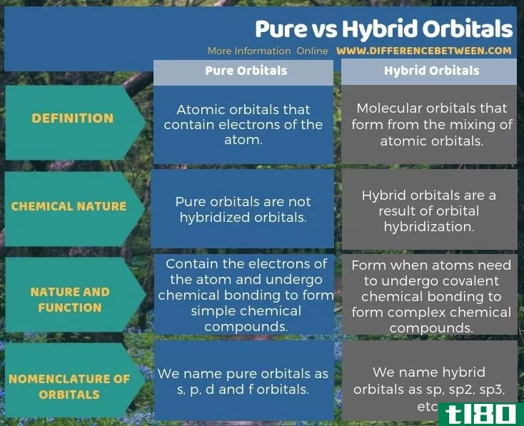 纯净的(pure)和杂化轨道(hybrid orbitals)的区别