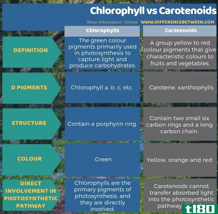 叶绿素(chlorophyll)和类胡萝卜素(carotenoids)的区别