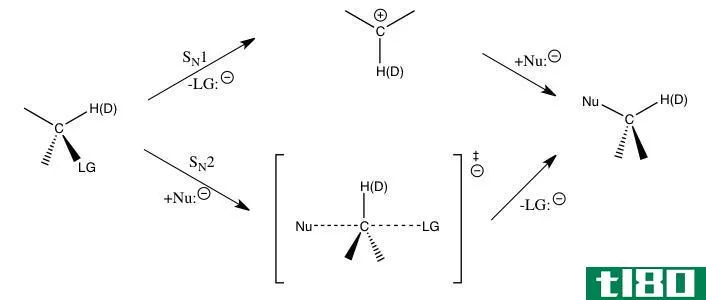 初级的(primary)和次级动力学同位素效应(secondary kinetic isotope effect)的区别