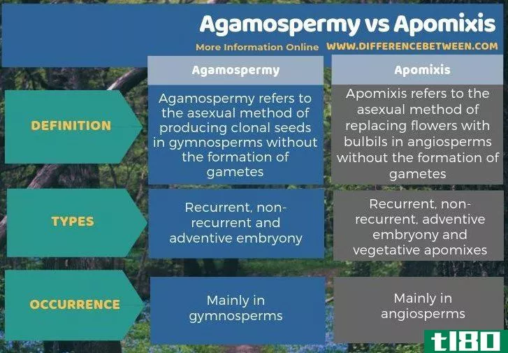 无性生殖(agamospermy)和无融合生殖(apomixis)的区别