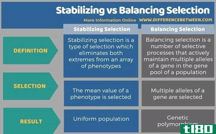 稳定(stabilizing)和平衡选择(balancing selection)的区别