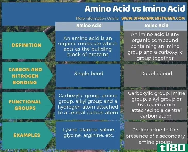 氨基酸(amino acid)和亚氨基酸(imino acid)的区别