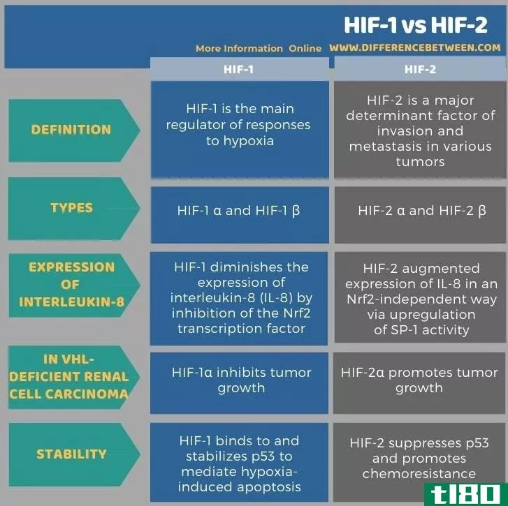 缺氧诱导因子-1(hif-1)和hif-2型(hif-2)的区别