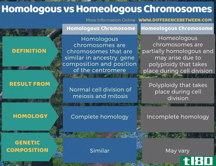 同源的(homologous)和同源染色体(homeologous chromosomes)的区别