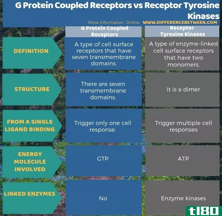 g蛋白偶联受体(g protein coupled receptors)和受体酪氨酸激酶(receptor tyrosine kinases)的区别