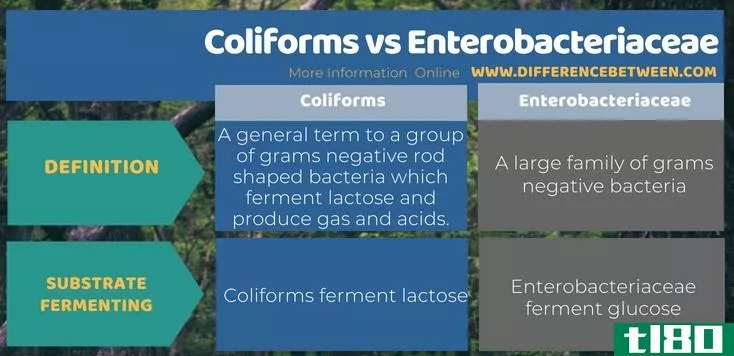 大肠杆菌(coliforms)和肠杆菌科(enterobacteriaceae)的区别