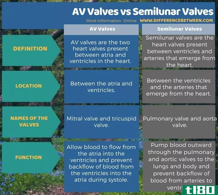 av阀(av valves)和半月瓣(semilunar valves)的区别