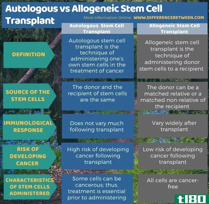自体(autologous)和异基因干细胞移植(allogeneic stem cell transplant)的区别