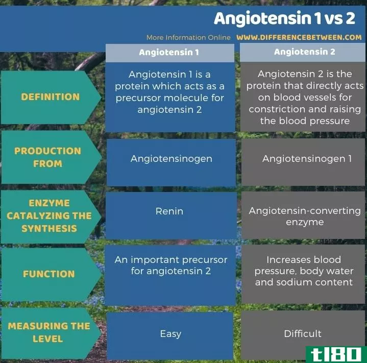 血管紧张素1(angiotensin 1)和2(2)的区别