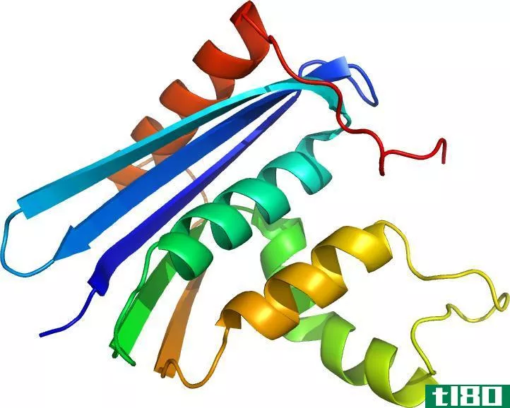 核糖核酸酶a(rnase a)和核糖核酸酶h(rnase h)的区别