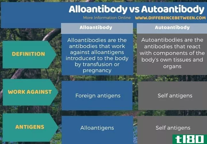 同种抗体(alloantibody)和自身抗体(autoantibody)的区别