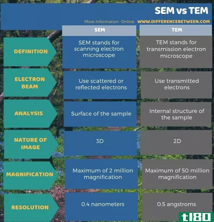 扫描电镜(sem)和瞬变电磁波(tem)的区别