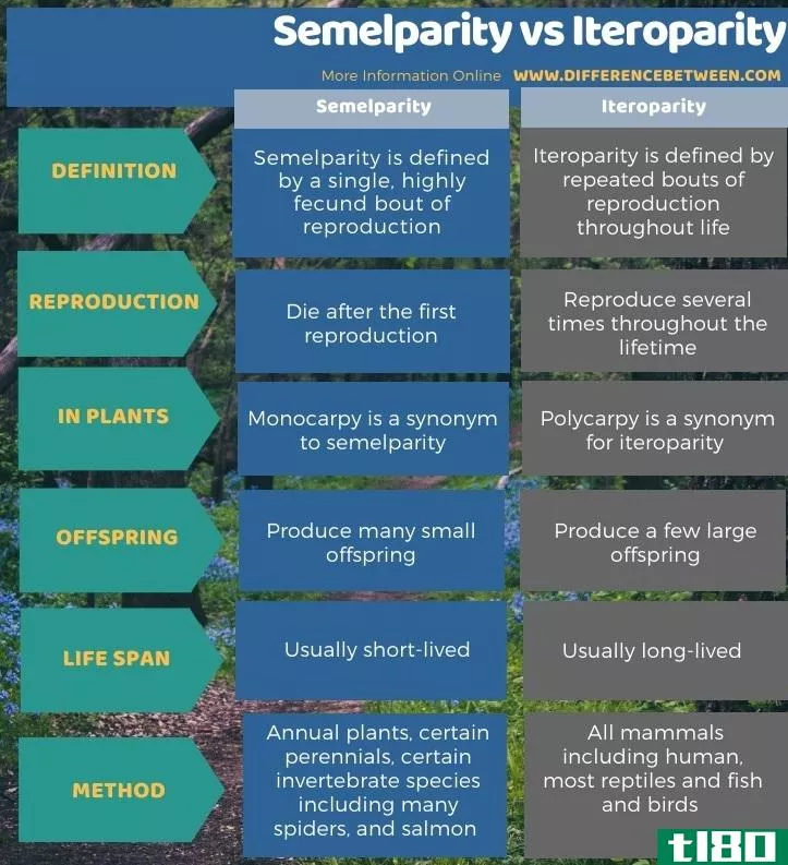 塞梅尔奇偶(semelparity)和均匀性(iteroparity)的区别
