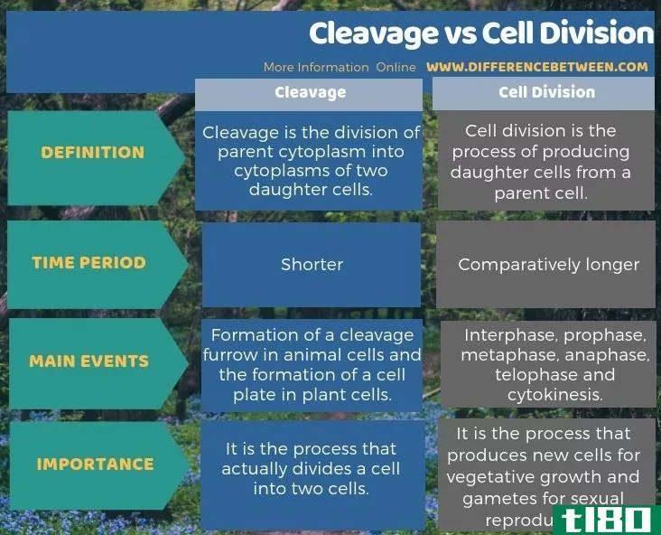 解理(cleavage)和细胞分裂(cell division)的区别