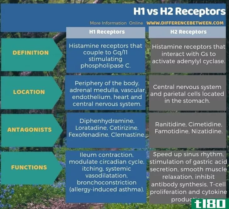 h1(h1)和h2受体(h2 receptors)的区别
