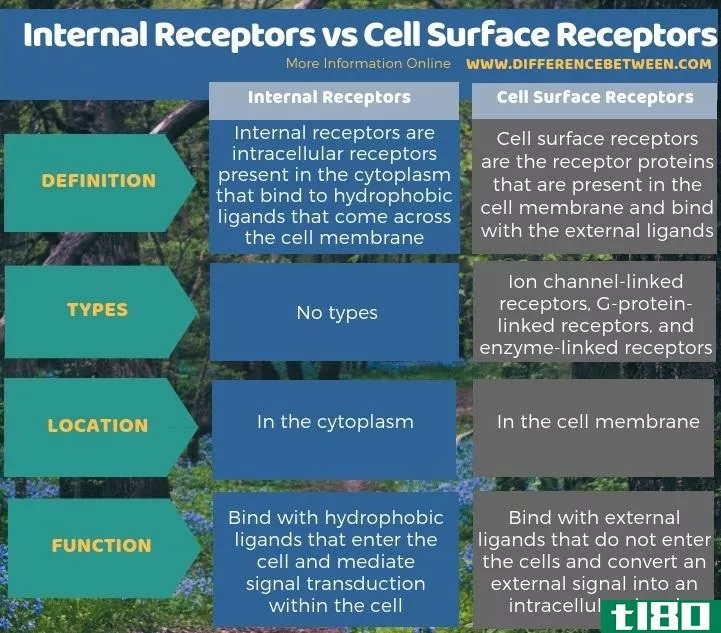 内部受体(internal receptors)和细胞表面受体(cell surface receptors)的区别