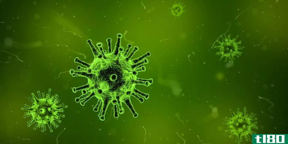 病毒(virus)和类病毒(viroids)的区别