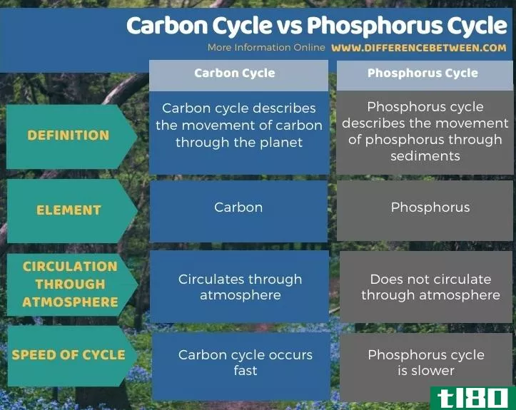 碳循环(carbon cycle)和磷循环(phosphorus cycle)的区别