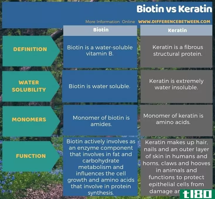 生物素(biotin)和角蛋白(keratin)的区别
