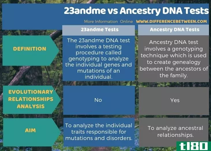 23和我(23andme)和祖先dna测试(ancestry dna tests)的区别