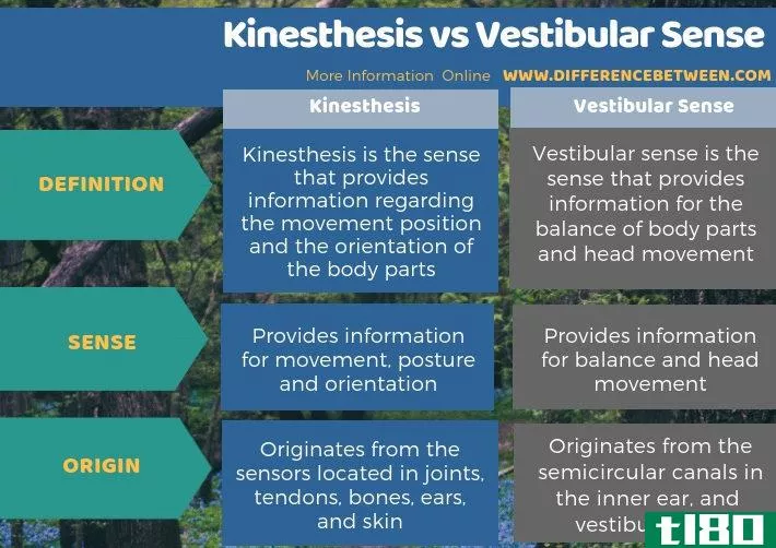 动觉(kinesthesis)和前庭感觉(vestibular sense)的区别