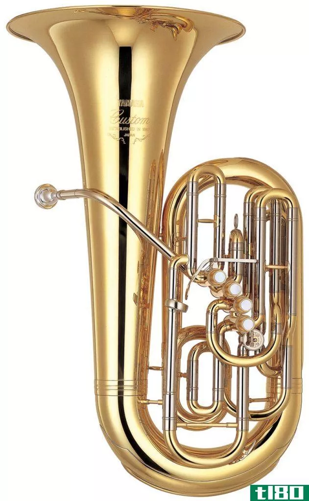 胡杨(euphonium)和大号(tuba)的区别