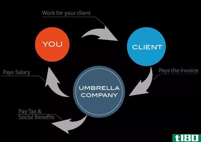 伞形公司(umbrella company)和有限公司(limited company)的区别