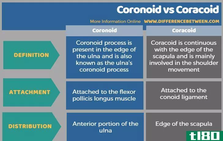冠状体(coronoid)和喙突(coracoid)的区别