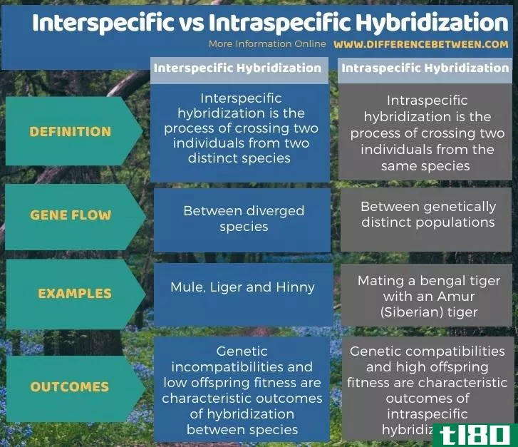种间(interspecific)和种内杂交(intraspecific hybridization)的区别