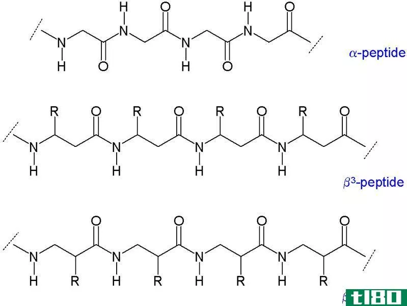 萨姆斯(sarms)和肽类(peptides)的区别