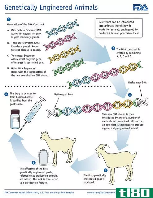 基因工程(genetic engineering)和基因改造(genetic modification)的区别