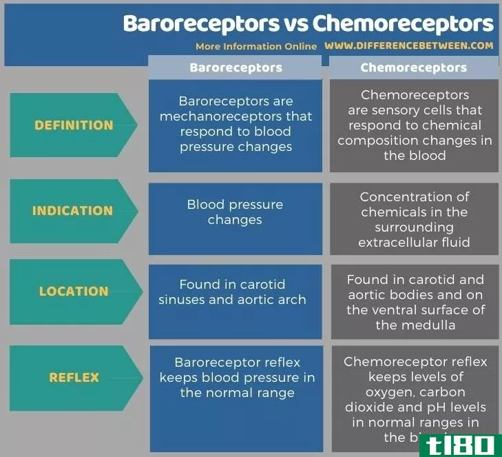 压力感受器(baroreceptors)和化学感受器(chemoreceptors)的区别
