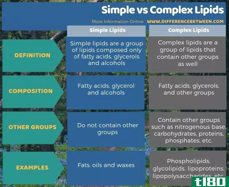 简单的(simple)和复合脂类(complex lipids)的区别