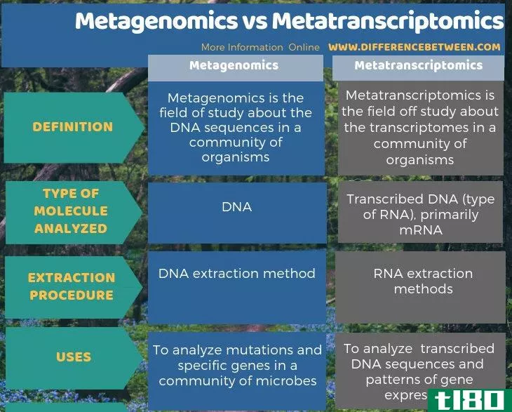宏基因组学(metagenomics)和转录组学(metatranscriptomics)的区别