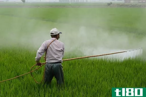 生物防治(biological control)和化学控制(chemical control)的区别