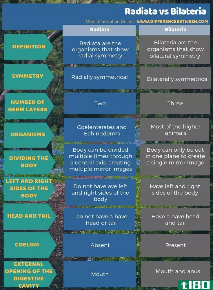 辐射(radiata)和双侧(bilateria)的区别