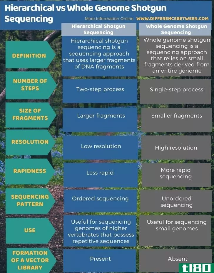 等级制(hierarchical)和全基因组鸟枪测序(whole genome shotgun sequencing)的区别