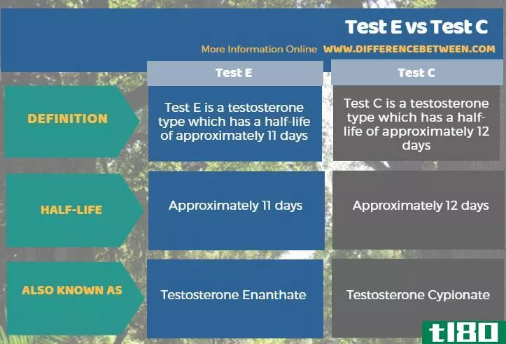 测试e(test e)和测试c(test c)的区别