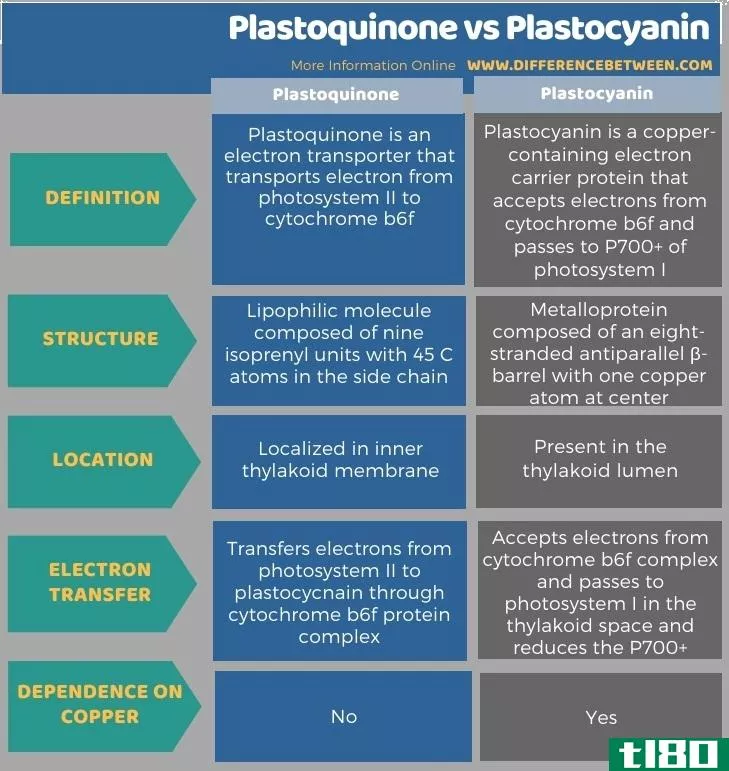 塑料醌(plastoquinone)和质体蓝素(plastocyanin)的区别