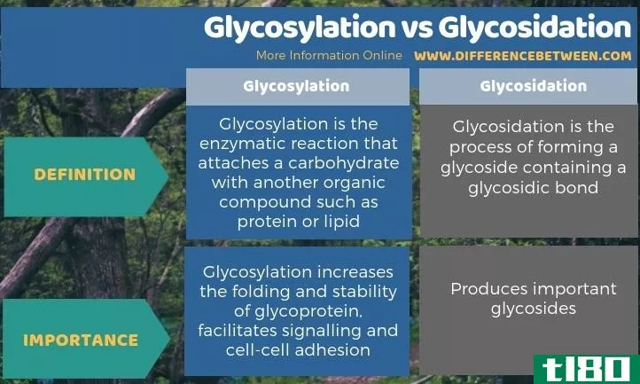 糖基化(glycosylation)和糖化(glycosidation)的区别