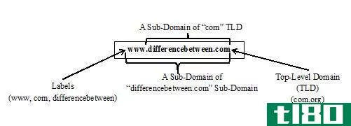 ip地址(ip)和域名系统(dns)的区别