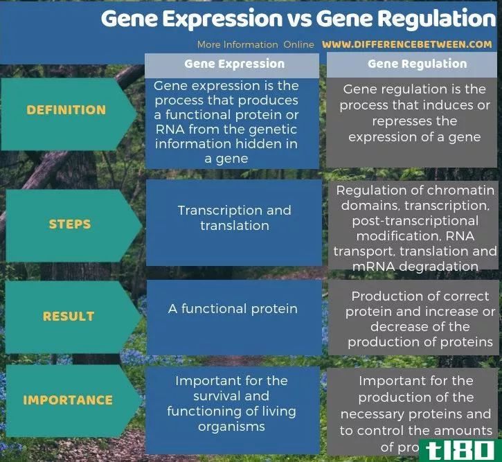 基因表达(gene expression)和基因调控(gene regulation)的区别