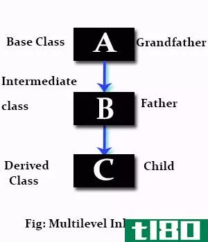 倍数(multiple)和多层次遗传(multilevel inheritance)的区别
